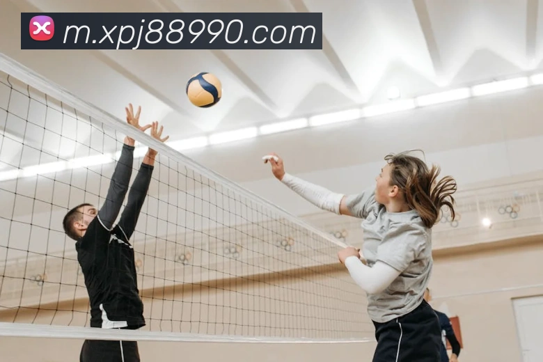 App Interface Preview