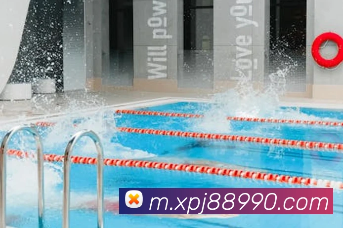 新葡京娱乐APP 封面图